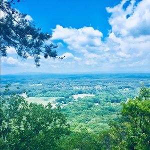 Meet your Posher, Luke